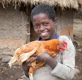 49930-Featured-Large